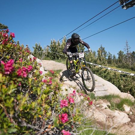 Studio Ecureuil 2 Pers Au Coeur De La Montagne La Llagonne Eksteriør billede